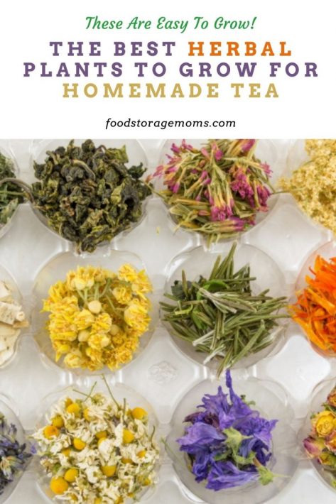 The Best Herbal Plants to Grow for Homemade Tea