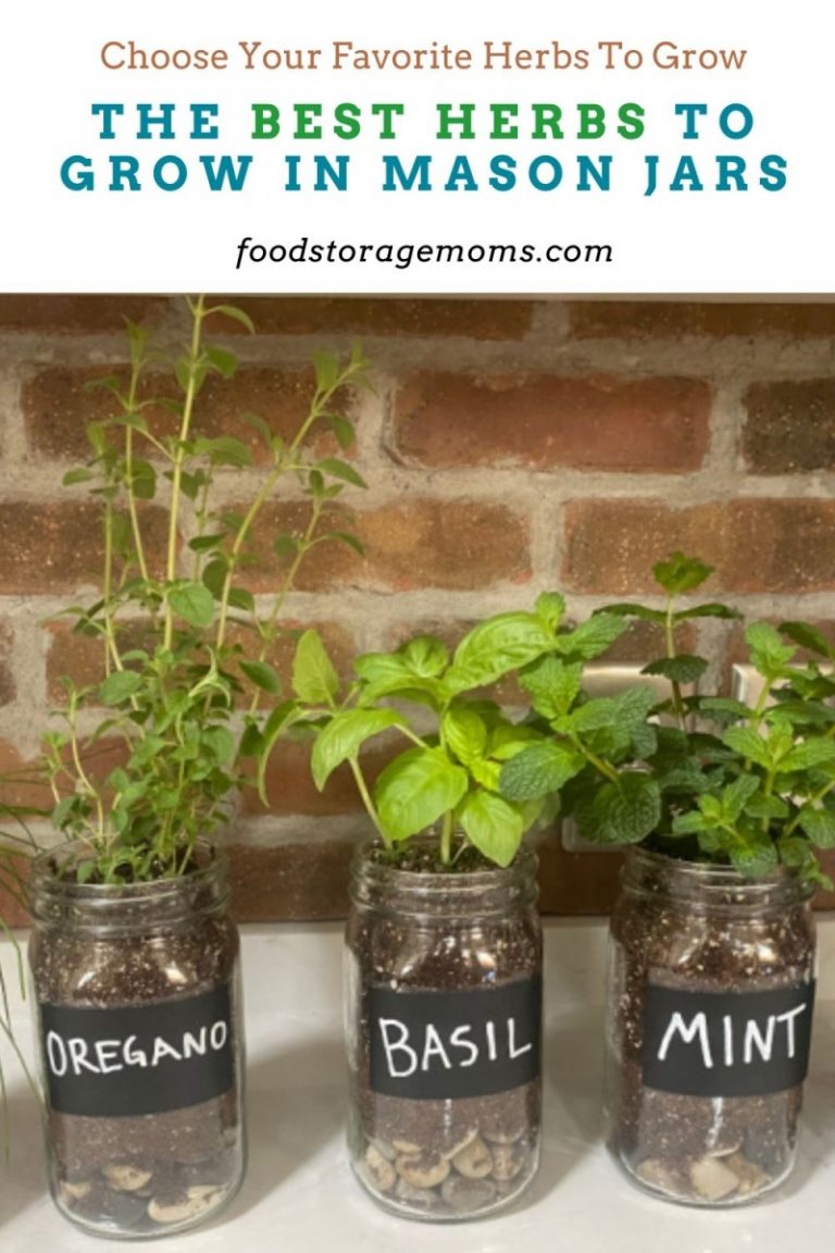 The Best Herbs To Grow In Mason Jars Food Storage Moms