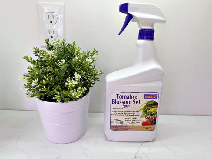 Tomato Blossom Spray
