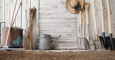 Top Gardening Tips for Beginner Gardeners