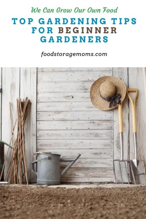 Top Gardening Tips for Beginner Gardeners