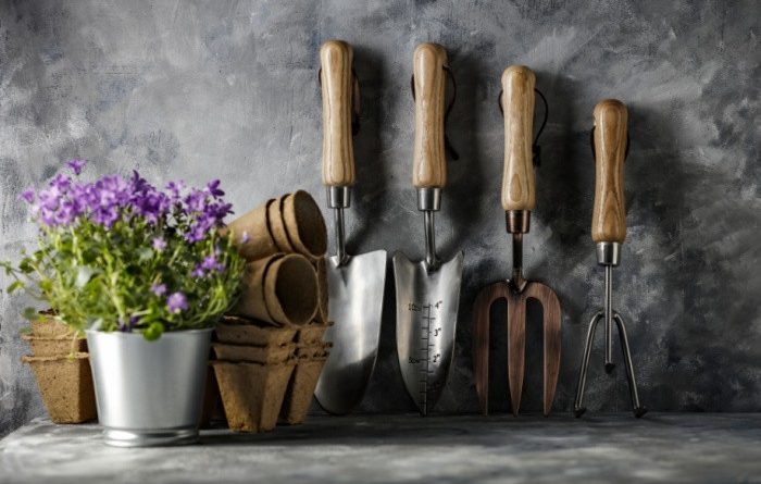 Top Gardening Tools You Need