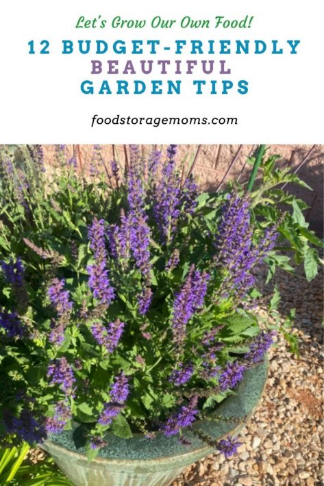 12 Budget-Friendly Beautiful Garden Tips