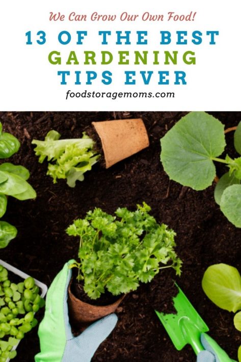 13 of the Best Gardening Tips Ever