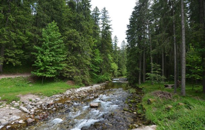 How to Build an Underground Shelter in the Woods