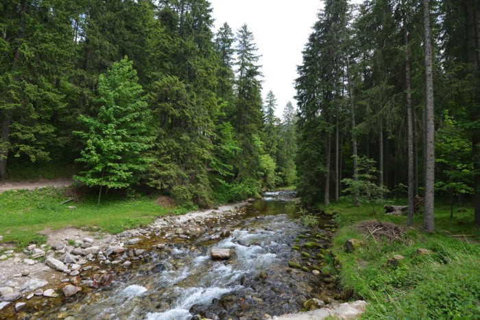 How to Build an Underground Shelter in the Woods