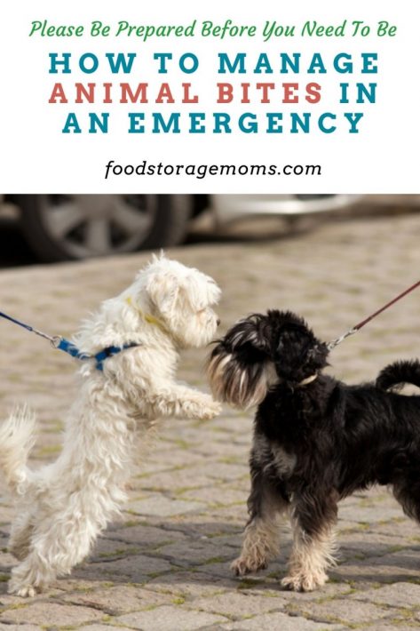 How to Manage Animal Bites in an Emergency