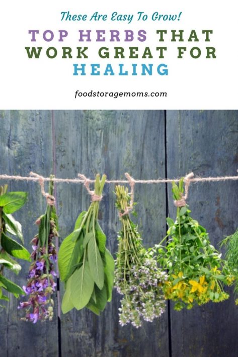 Top Herbs that Work Great for Healing