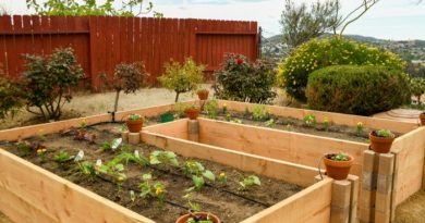 What is Keyhole Gardening?