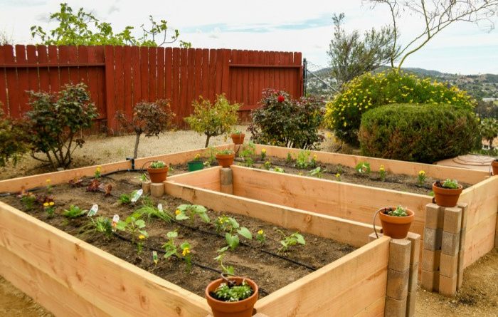 What is Keyhole Gardening?