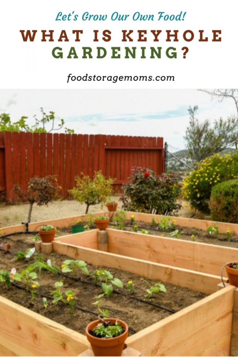 What is Keyhole Gardening? - Food Storage Moms