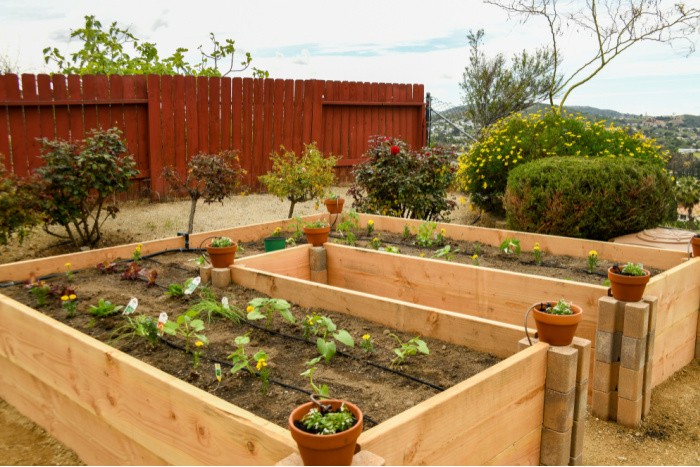 What is Keyhole Gardening?