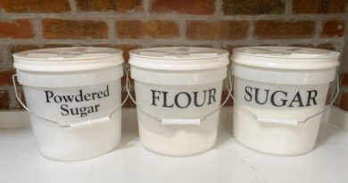 Containers for Food Storage You Need
