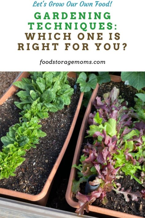 Gardening Techniques: Which One is Right for You?