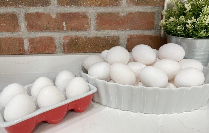 Fresh Eggs