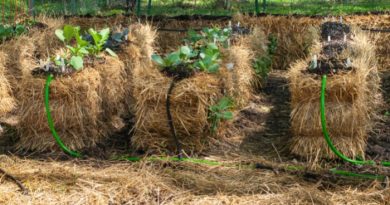 What is Core Gardening?