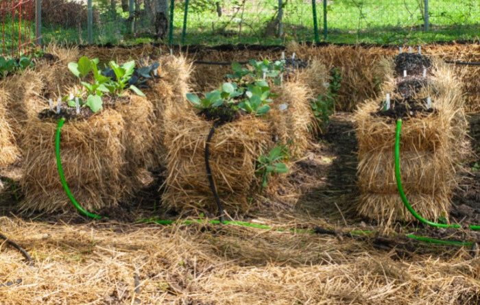 What is Core Gardening?