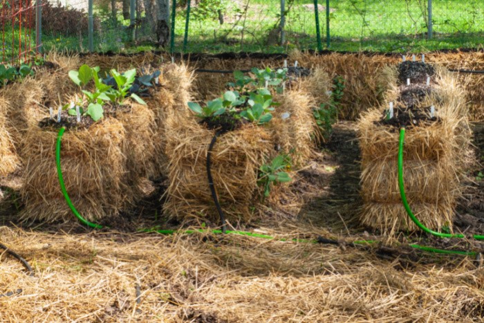 What is Core Gardening?