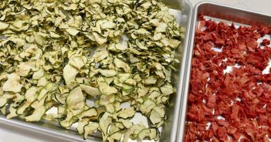 15 Foods You Should Be Dehydrating