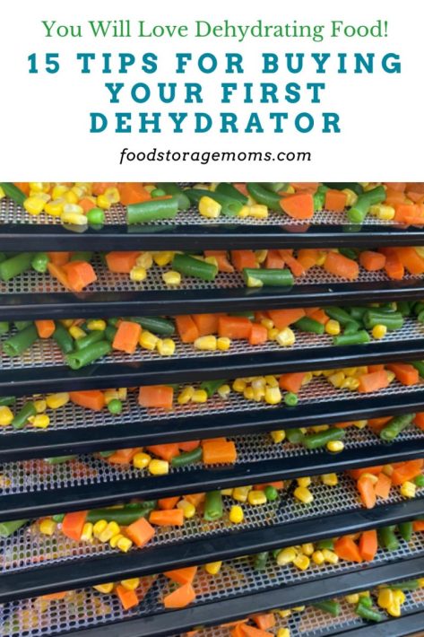 15 Tips for Buying Your First Dehydrator