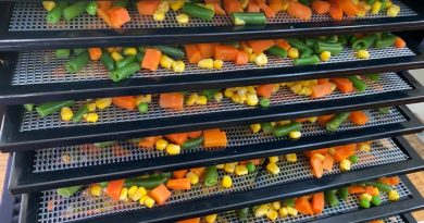 15 Tips for Buying Your First Dehydrator