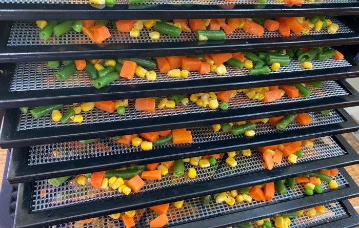 15 Tips for Buying Your First Dehydrator