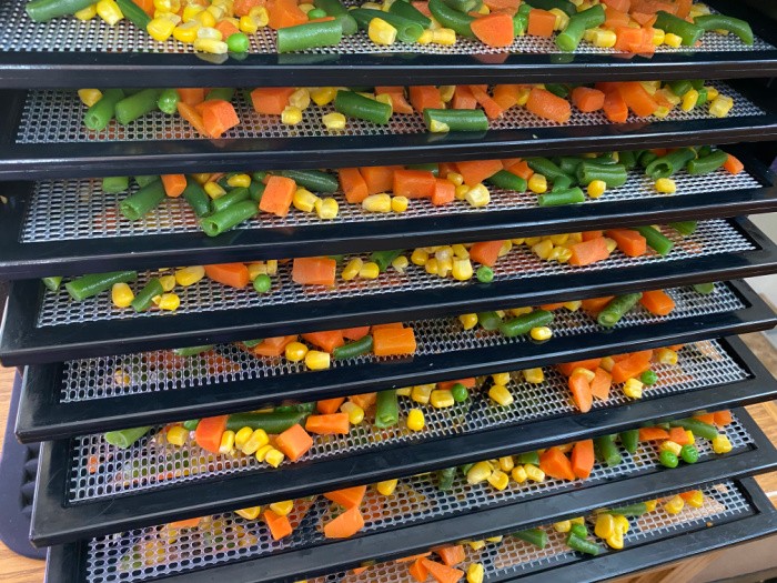 15 Tips for Buying Your First Dehydrator