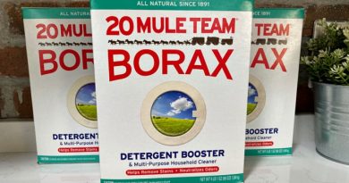 15 Ways to Clean Your Home with Borax