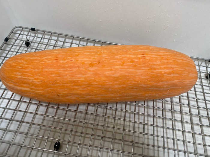 Wash Squash