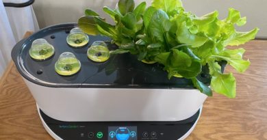 Ready to Harvest