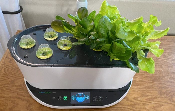 Ready to Harvest
