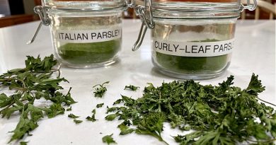 Parsley Powder