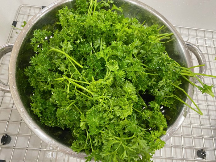 Curly-Leaf Parsley