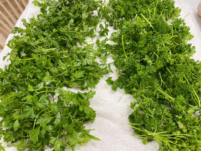 Dry the Parsley on a Towel
