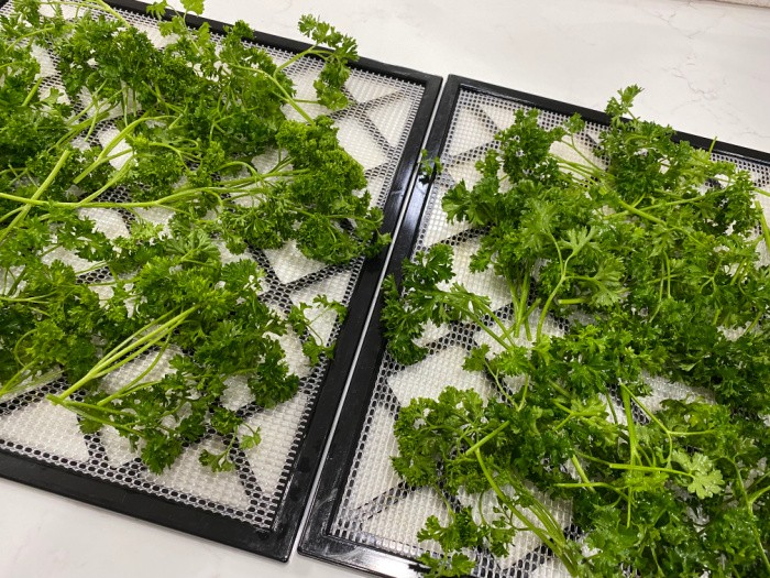 Parsley on Racks