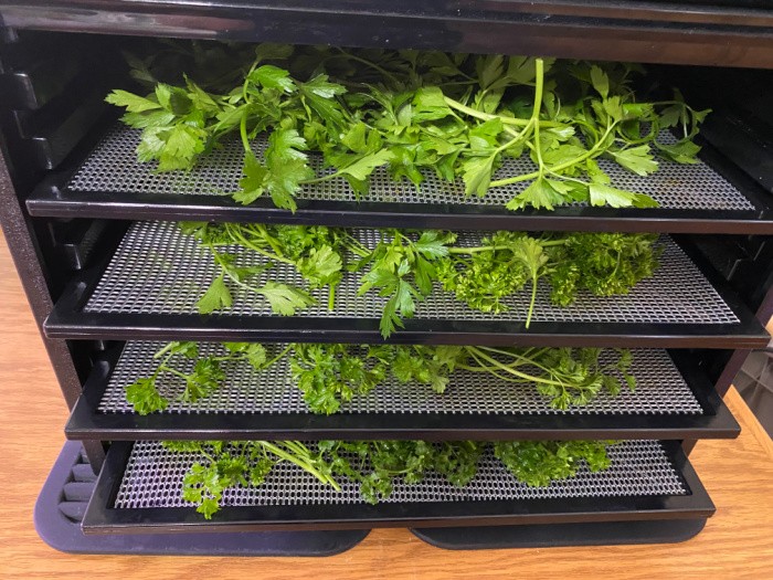 Racks in the Dehydrator