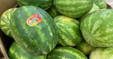 How to Tell If a Watermelon Is Sweet