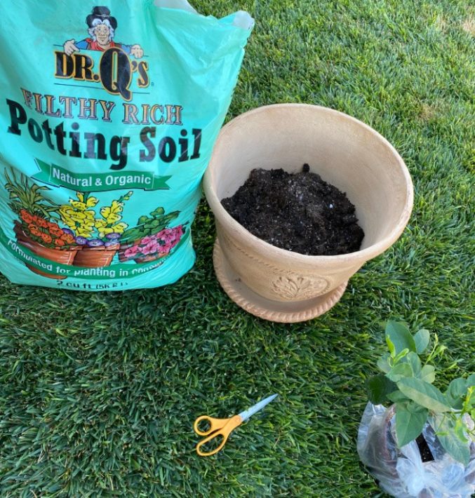 Dr Q Potting Soil