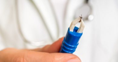 Lyme Disease: What You Need to Know