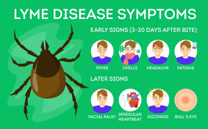 Lyme Disease 