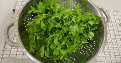 Parsley: How Can I Use It?