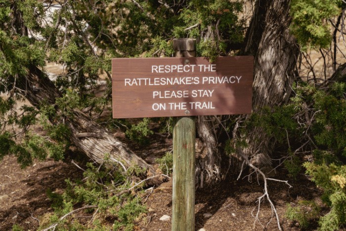 Rattlesnake Privacy Sign