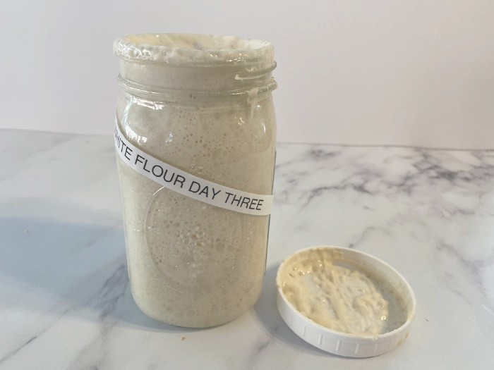 Sourdough Starter