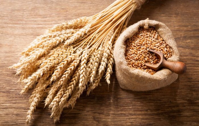 Wheat: What You May Not Know