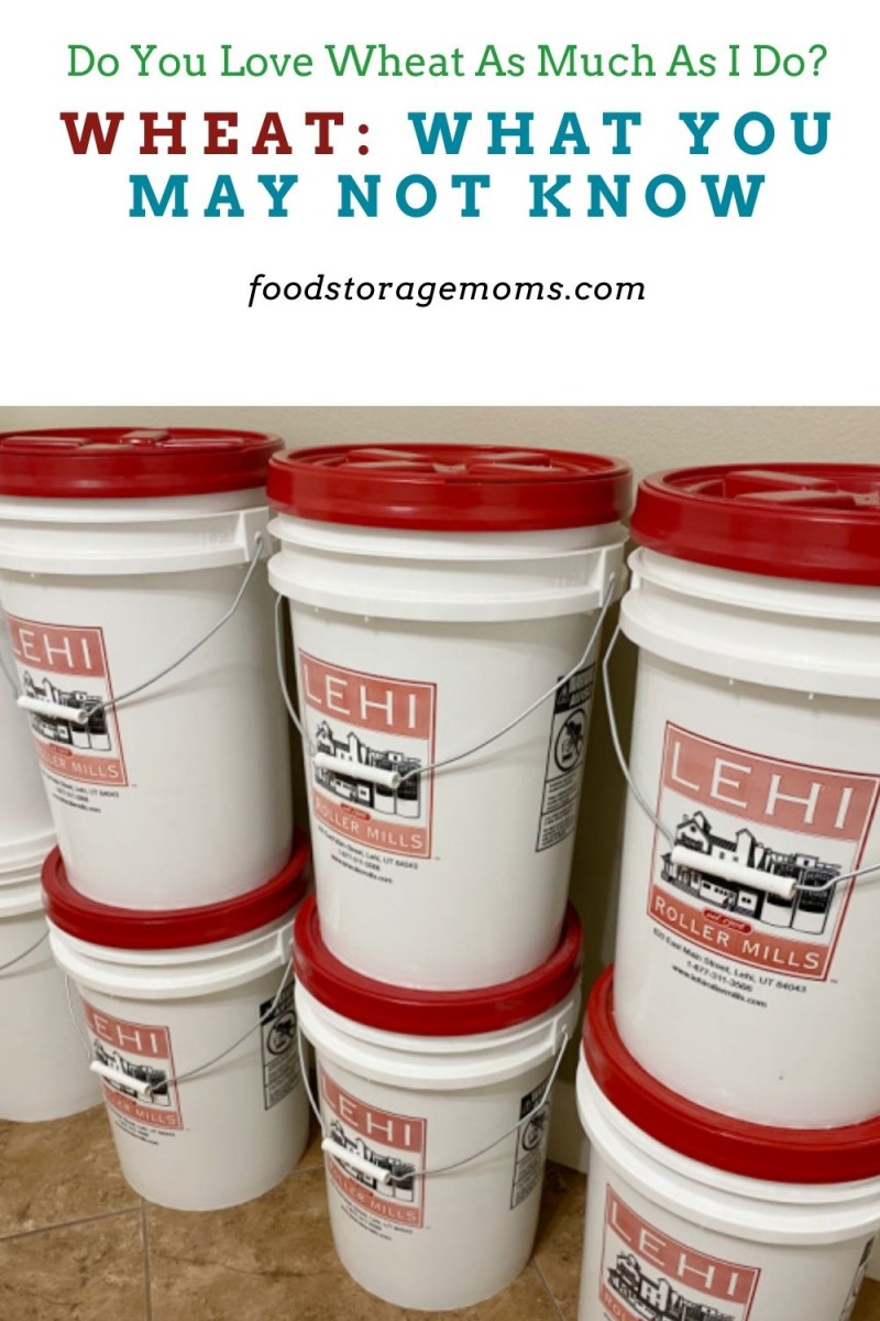 Wheat What You May Not Know Food Storage Moms
