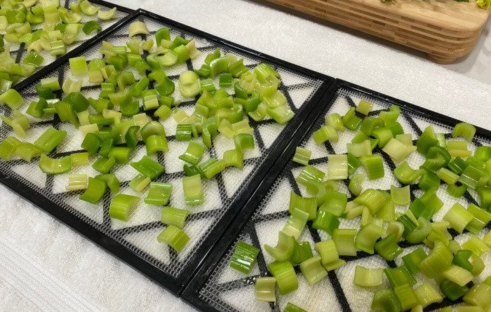 How To Dehydrate Celery + Celery Powder
