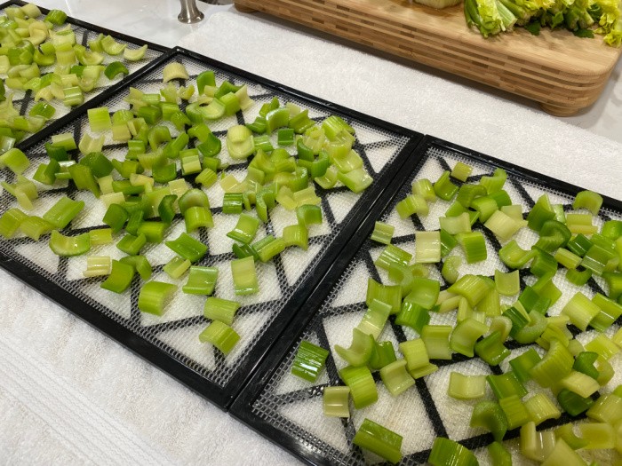 How To Dehydrate Celery + Celery Powder