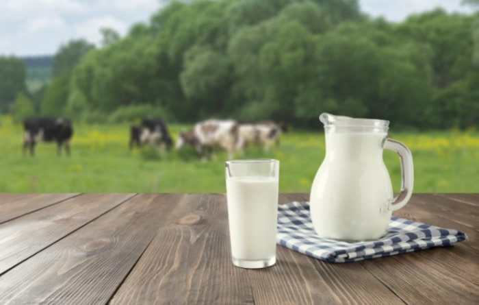 Milk: Everything You Need to Know