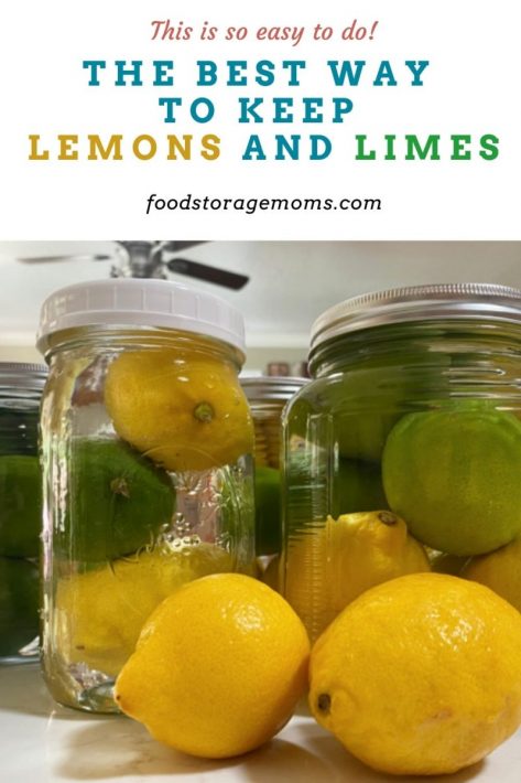 The Best Way To Keep Lemons and Limes