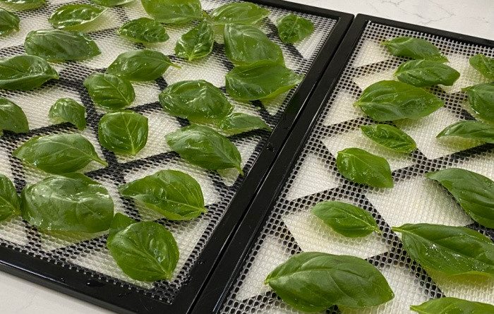 How to Dehydrate Basil and Freeze It